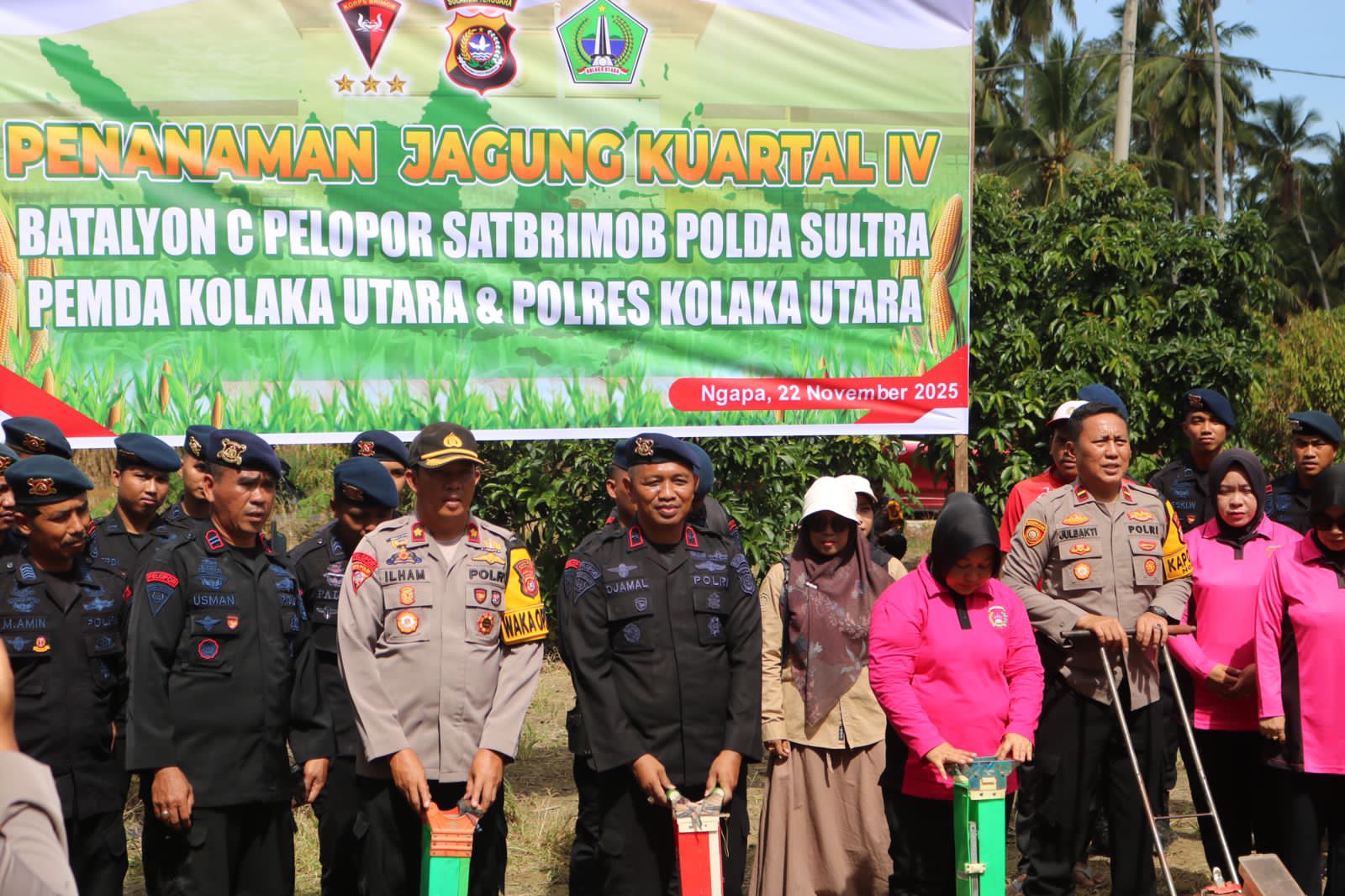 Batalyon C Pelopor Polda Sultra Bersama Pemda dan Polres Kolaka Utara Gelar Penanaman Jagung Kuartal IV di Desa Lawolatu